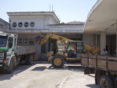 Imagem/image: Nuno Martinho